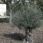 Il Parco Bauernhof Nusco